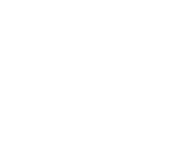 Corporate Law and Corporate Governance